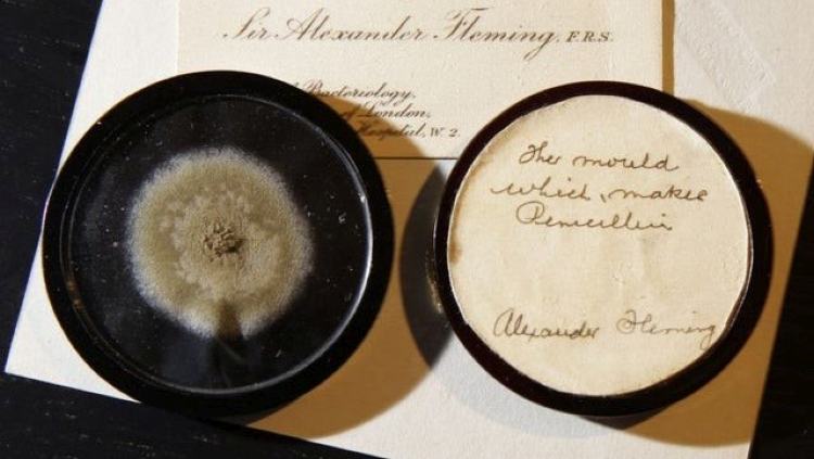 Fleming's discovery